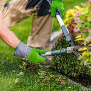 Gartenpflege